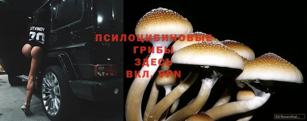 амфетамин Осинники