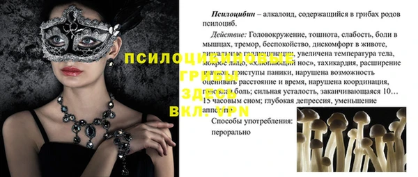 первитин Гвардейск